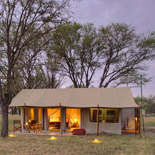 5-day-tanzania-mid-range-safari-3