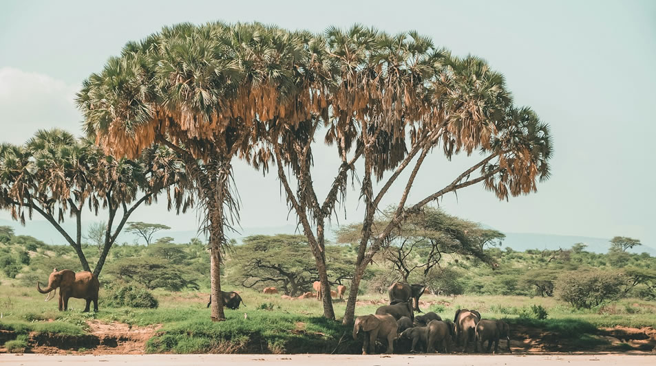7 Days Samburu, Aberdare, Lake Nakuru And Masai Mara Safari_1